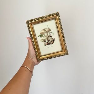 Vintage framed mushroom print